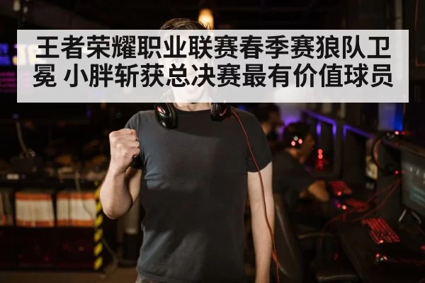 王者荣耀职业联赛春季赛狼队卫冕 小胖斩获总决赛最有价值球员