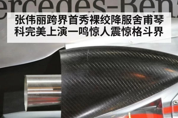 张伟丽跨界首秀裸绞降服舍甫琴科完美上演一鸣惊人震惊格斗界
