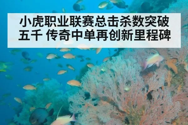 小虎职业联赛总击杀数突破五千 传奇中单再创新里程碑